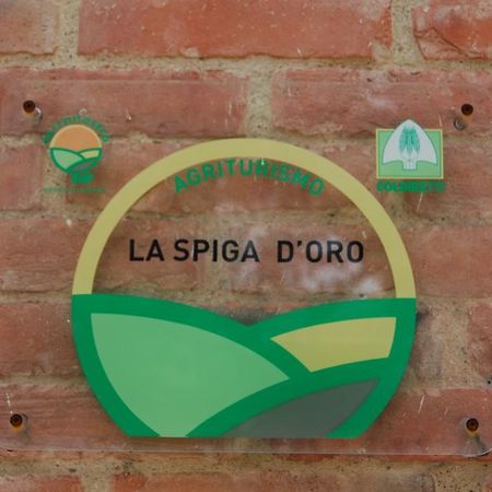 La Spiga D'Oro Guest House Pozzo  Luaran gambar
